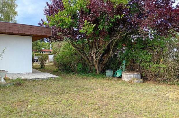 Ferienhaus kaufen in 7061 Trausdorf (Bild 4)