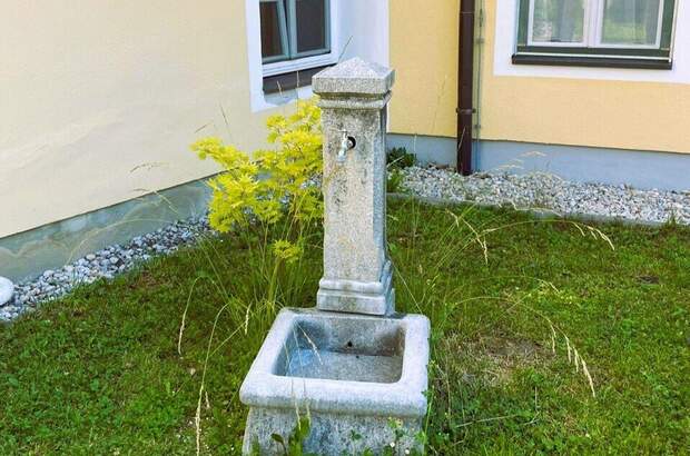 Anlageobjekt kaufen in 8960 Öblarn (Bild 3)