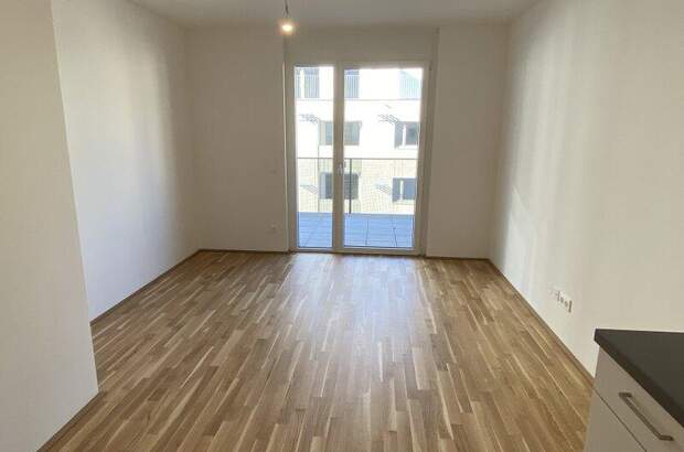 Terrassenwohnung mieten in 1220 Wien (Bild 3)