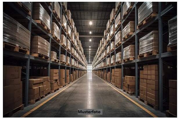 Lager kaufen in 7501 Rotenturm (Bild 1)