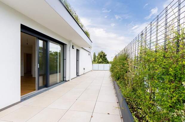 Terrassenwohnung kaufen in 1220 Wien (Bild 5)