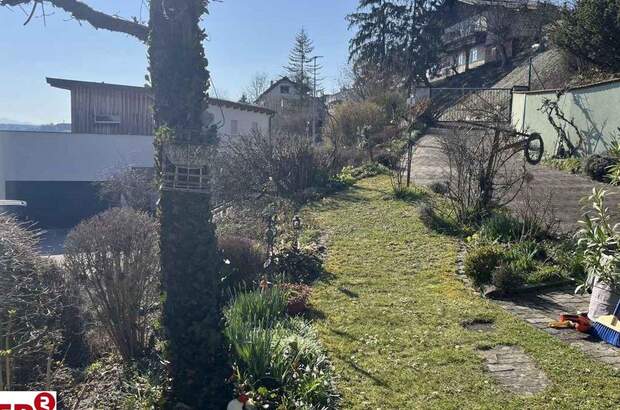 Haus kaufen in 4522 Sierning (Bild 5)