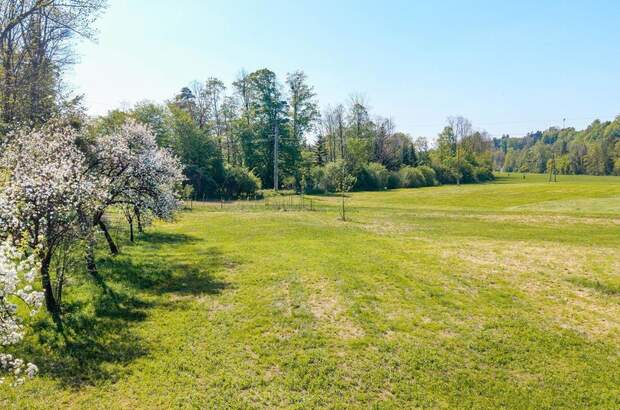 Haus kaufen in 4643 Mitterndorf (Bild 3)