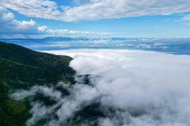 Grundstück kaufen in 9431 Kleinedling (Bild 2)