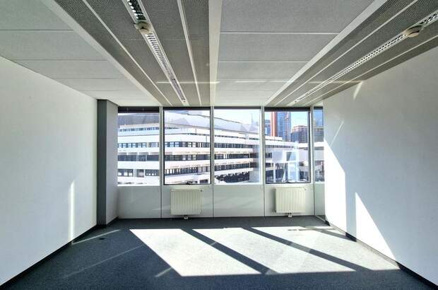 Gewerbeobjekt mieten in 1220 Wien (Bild 5)