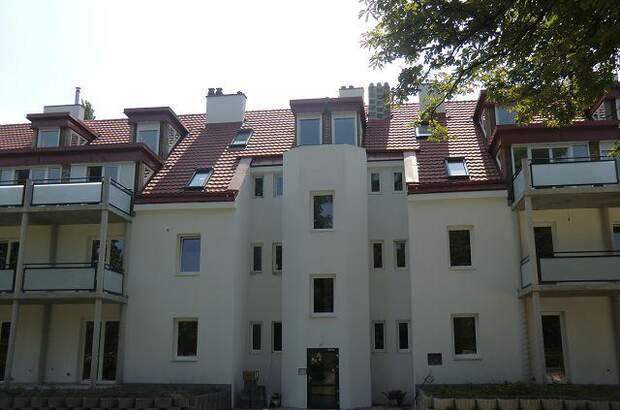 Terrassenwohnung mieten in 2483 Ebreichsdorf (Bild 5)