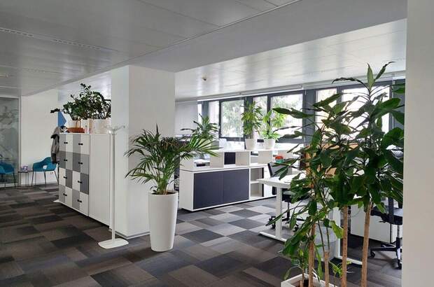 Gewerbeobjekt mieten in 8020 Graz (Bild 1)