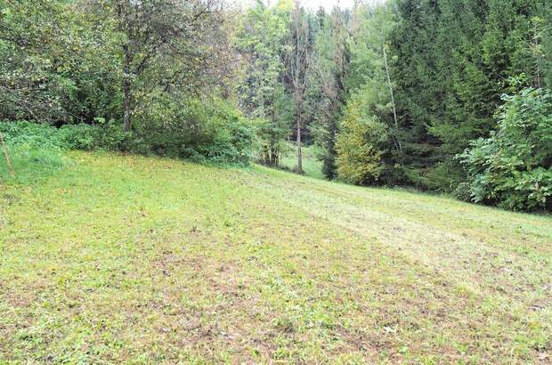 Grundstück kaufen in 8661 Sankt Barbara (Bild 1)