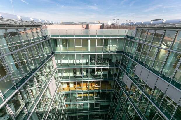 Gewerbeobjekt mieten in 1010 Wien (Bild 2)