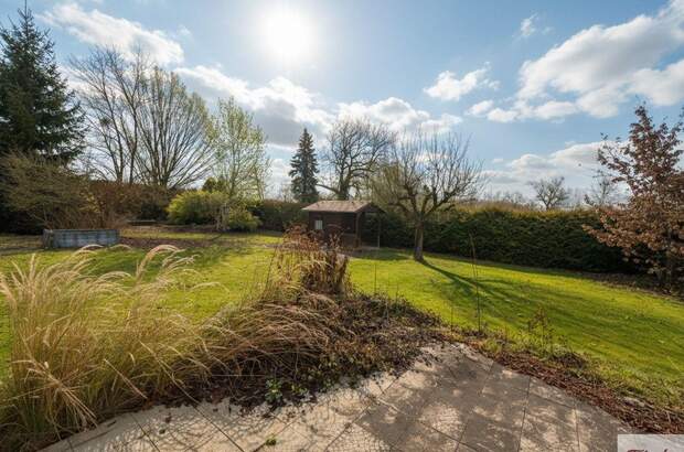 Grundstück kaufen in 4614 Marchtrenk (Bild 1)