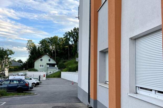 Anlageobjekt kaufen in 4470 Enns (Bild 2)