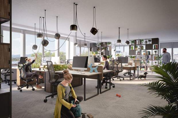 Gewerbeobjekt mieten in 1220 Wien (Bild 1)