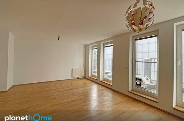 Terrassenwohnung mieten in 1060 Wien (Bild 3)