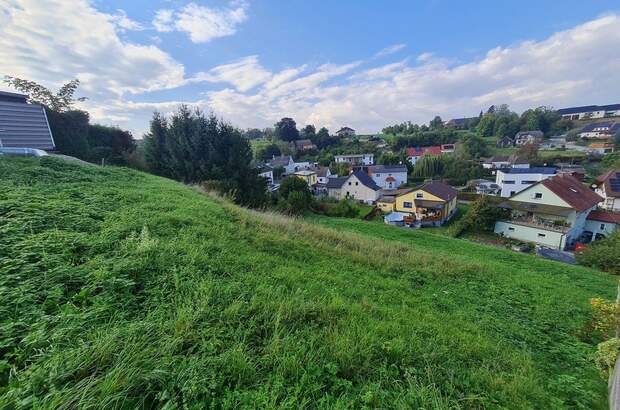 Grundstück kaufen in 4522 Sierning (Bild 1)