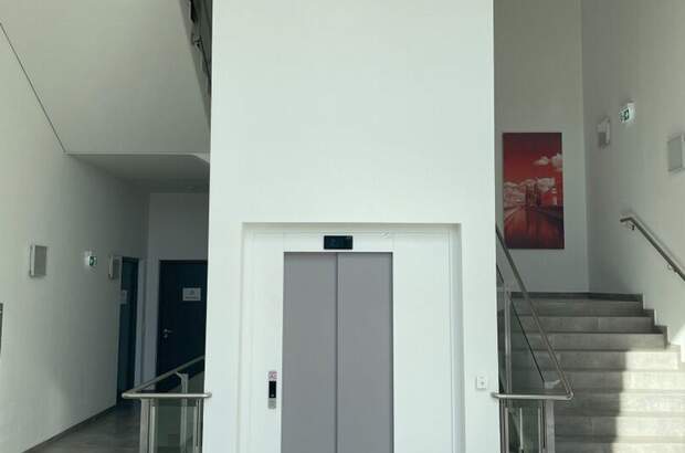 Gewerbeobjekt mieten in 2351 Wiener Neudorf (Bild 3)