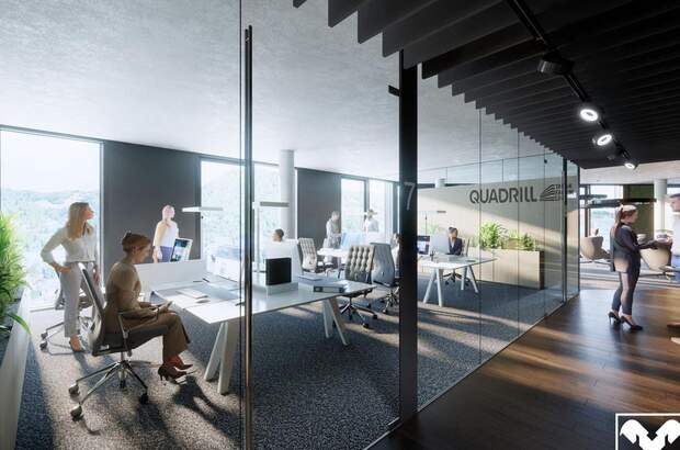 Gewerbeobjekt mieten in 4020 Linz (Bild 4)