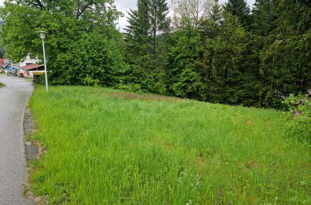 Grundstück kaufen in 8635 Gollrad (Bild 1)