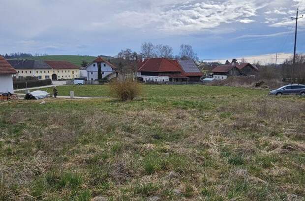 Grundstück kaufen in 4611 Buchkirchen (Bild 3)