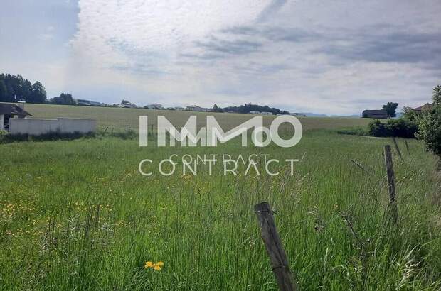 Grundstück kaufen in 4540 Bad Hall