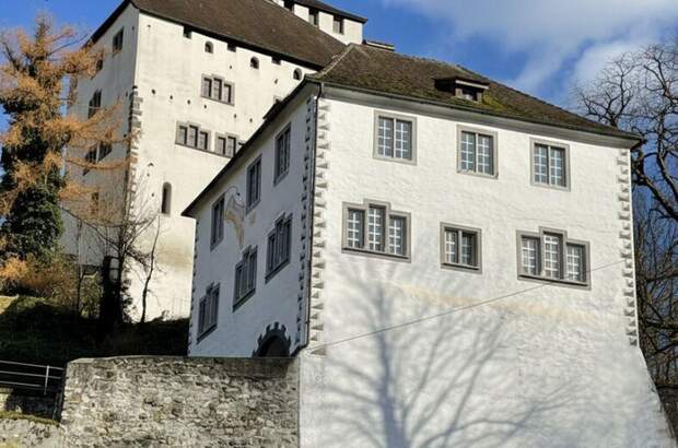 Haus kaufen in 9470 Werdenberg (Bild 4)