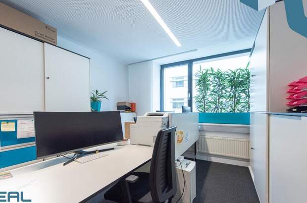 Gewerbeobjekt mieten in 4020 Linz (Bild 4)