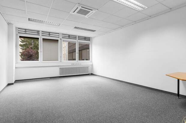 Gewerbeobjekt mieten in 1130 Wien (Bild 4)