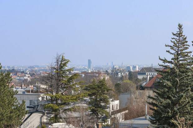Eigentumswohnung in 1190 Wien (Bild 4)