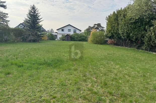 Grundstück kaufen in 2230 Gänserndorf (Bild 3)