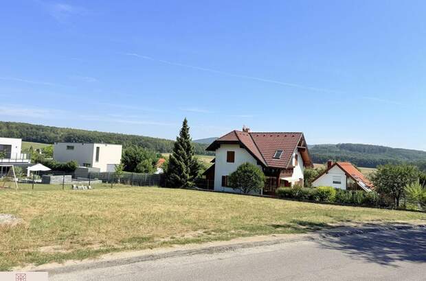 Grundstück kaufen in 2500 Siegenfeld (Bild 2)