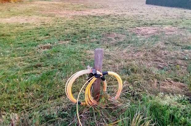 Grundstück kaufen in 8212 Pischelsdorf (Bild 3)