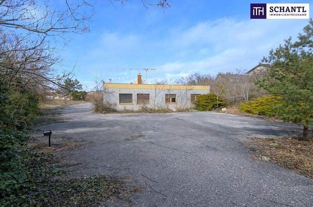 Grundstück kaufen in 2542 Kottingbrunn (Bild 1)