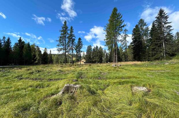 Grundstück kaufen in 9571 Albeck (Bild 4)