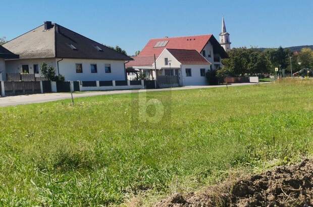 Grundstück kaufen in 7083 Purbach (Bild 1)