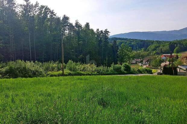 Grundstück kaufen in 8044 Graz (Bild 2)