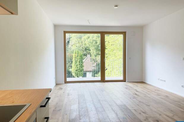 Wohnung mit Balkon kaufen in 2391 Kaltenleutgeben (Bild 1)