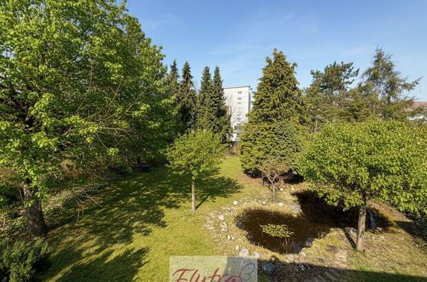 Haus kaufen in 4600 Wels (Bild 3)