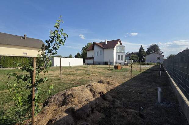 Haus mit Garten kaufen in 2463 Stixneusiedl (Bild 5)