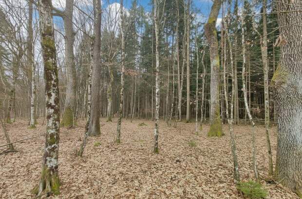 Grundstück kaufen in 7502 Unterwart (Bild 4)