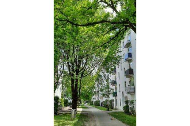 Mietwohnung in 4030 Linz (Bild 4)