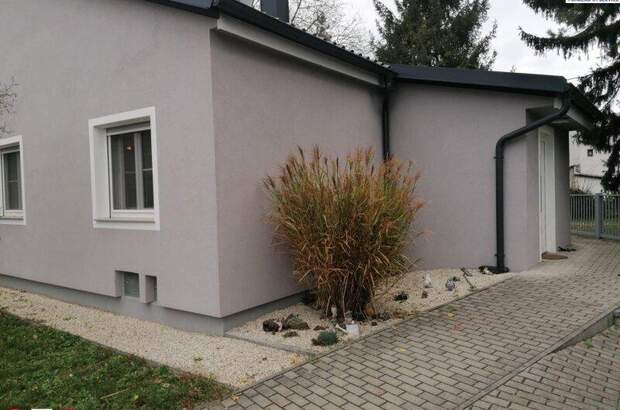 Einfamilienhaus kaufen in 2000 Stockerau (Bild 3)