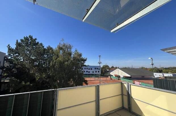 Terrassenwohnung mieten in 2232 Deutsch (Bild 5)