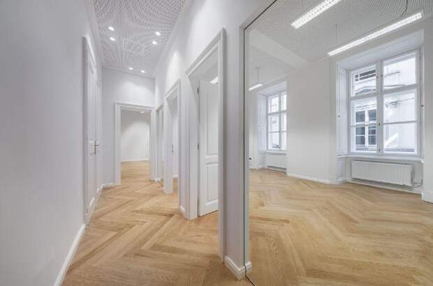 Gewerbeobjekt mieten in 1010 Wien (Bild 1)