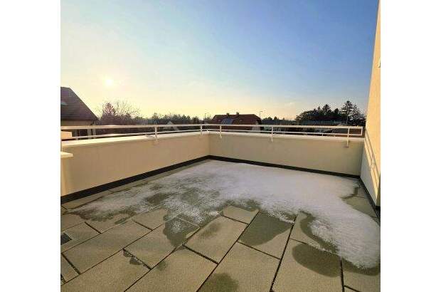 Terrassenwohnung kaufen in 1220 Wien (Bild 3)