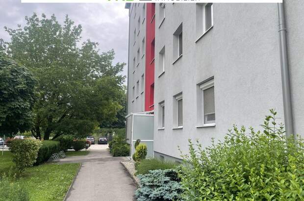 Wohnung kaufen in 4470 Enns (Bild 4)