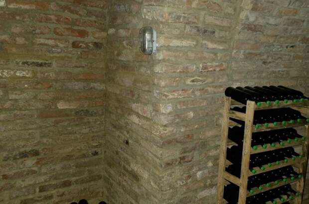 Gewerbeobjekt kaufen in 1210 Wien (Bild 3)