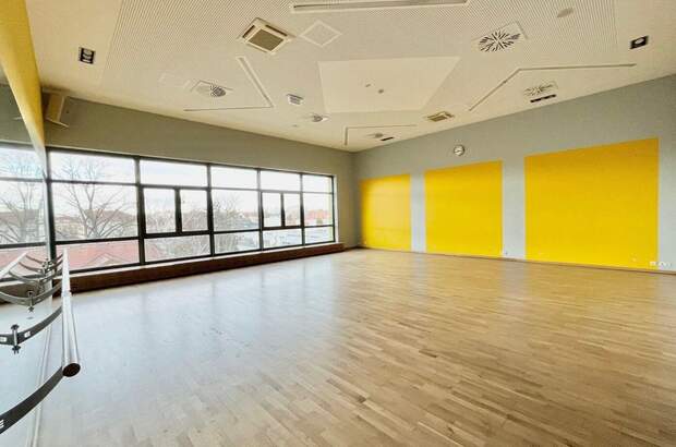 Gewerbeobjekt mieten in 2320 Schwechat (Bild 4)