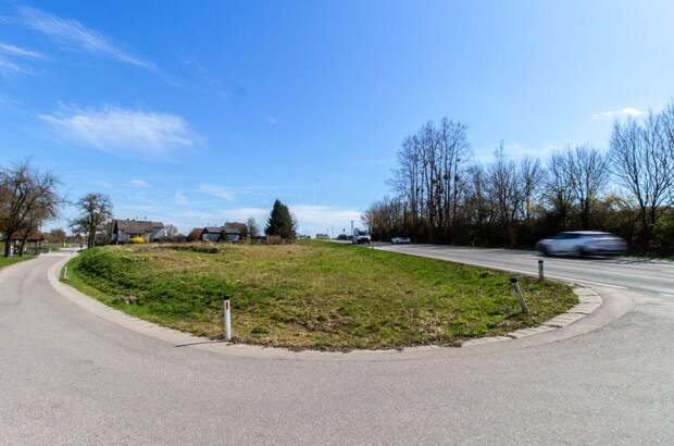 Gewerbeobjekt kaufen in 4631 Krenglbach (Bild 4)