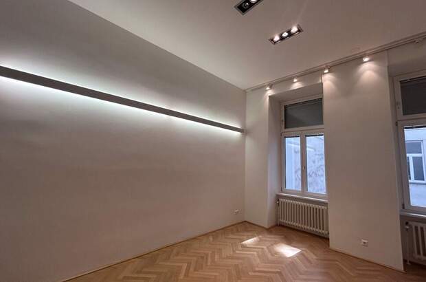 Gewerbeobjekt mieten in 1010 Vienna (Bild 3)