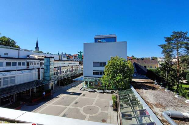 Gewerbeobjekt mieten in 1130 Wien (Bild 2)