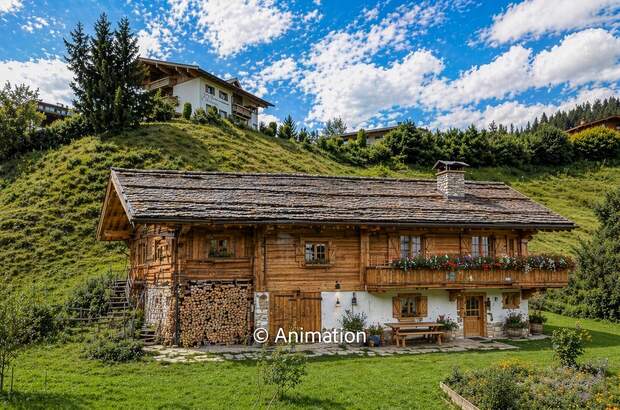Bauernhaus kaufen in 6391 Fieberbrunn (Bild 5)